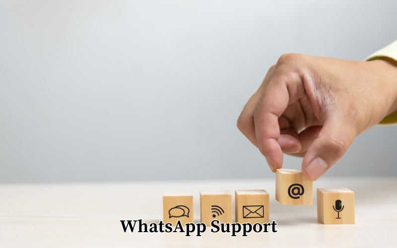 WhatsApp Support